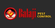 web designing company in mumbai design website